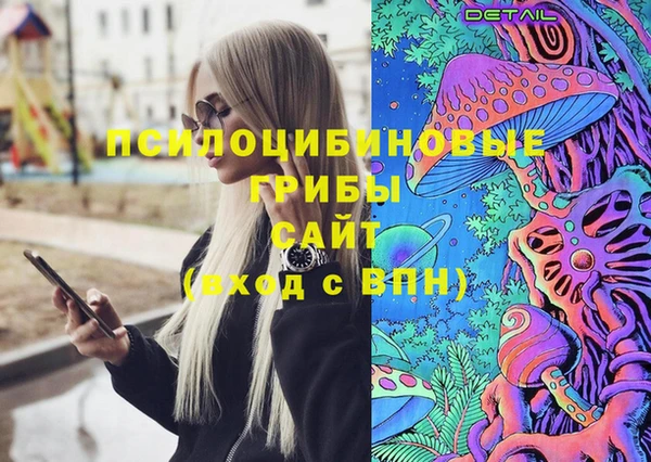 шишки Верея